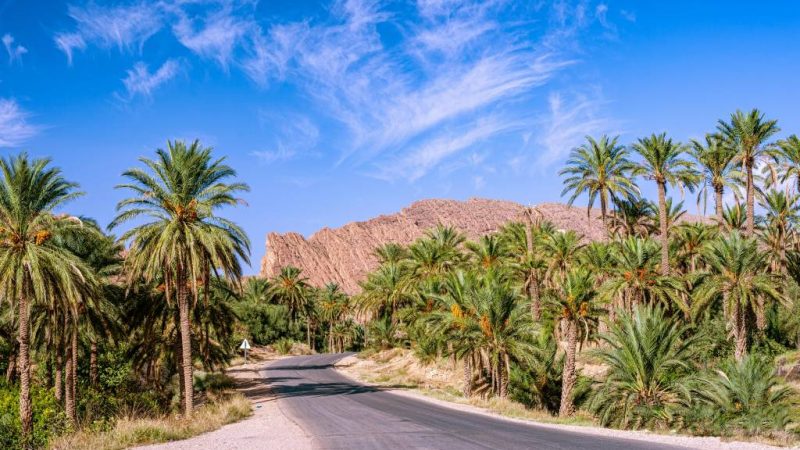 Voyager en algérie : les incontournables à découvrir