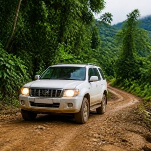 4×4 costa rica rental : guide pour louer un 4×4 au Costa Rica